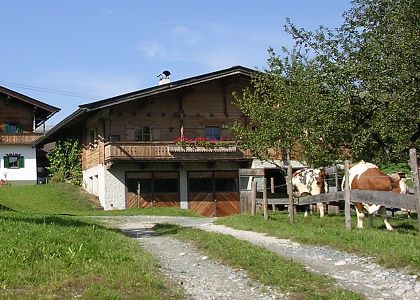 Holzferienhaus beim Bauernhaus